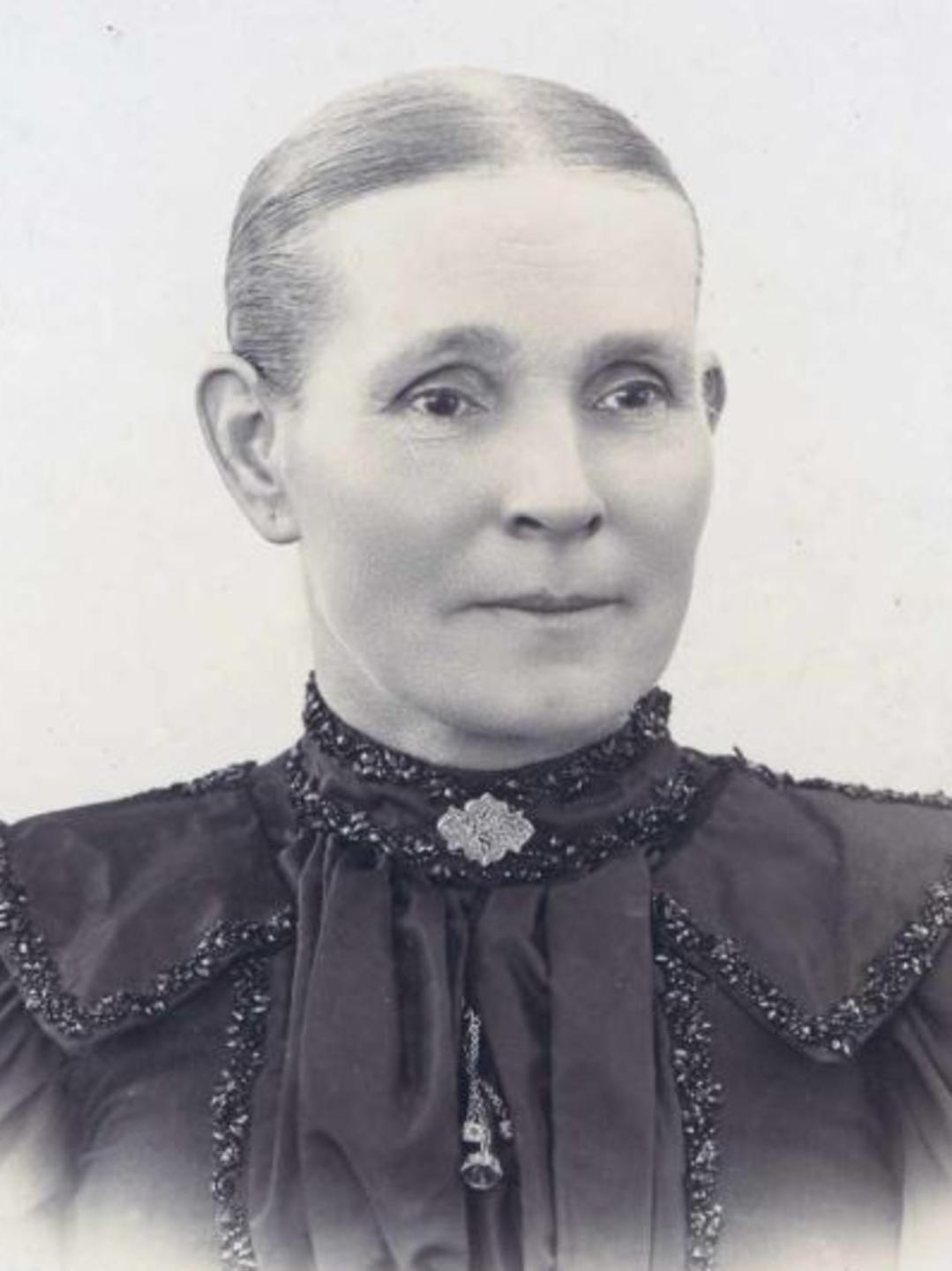 Elizabeth Bryce Hill (1838 - 1908) Profile